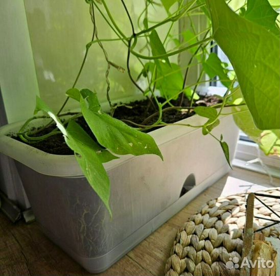 Ящик для цветов с поддоном