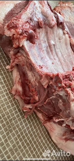 Домашняя свинина