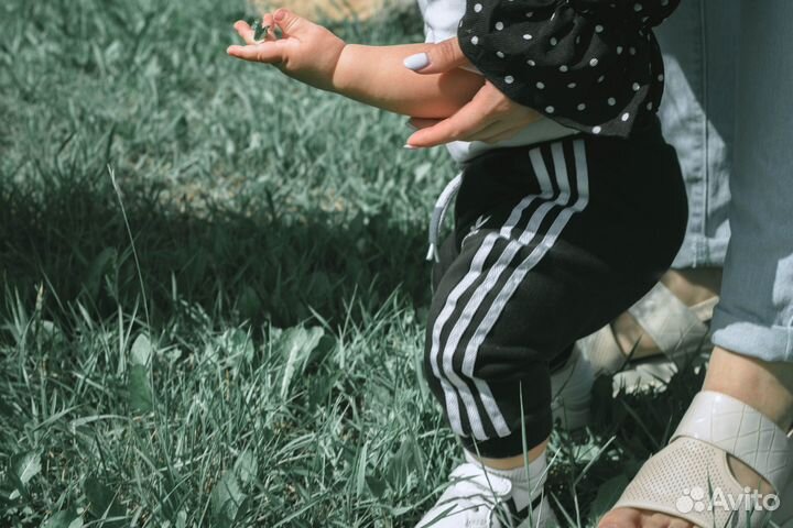 Фотосессия с хаски