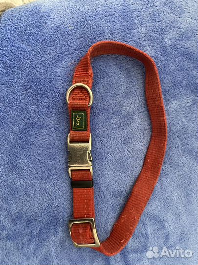 Ошейник и поводок