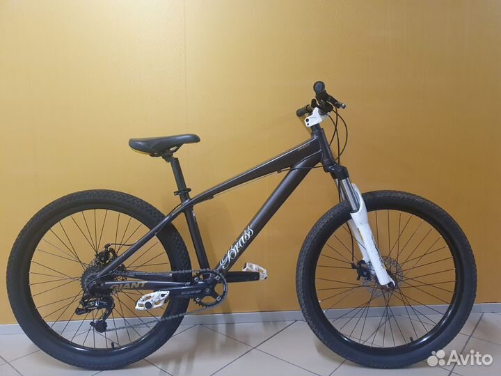 MTB Gaint Brass 2 2009 Dirt Trail