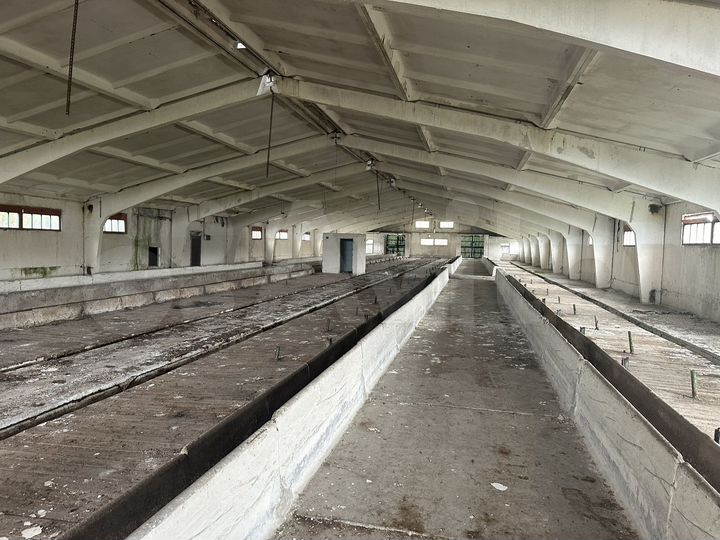 Свободного назначения, 1000 м²