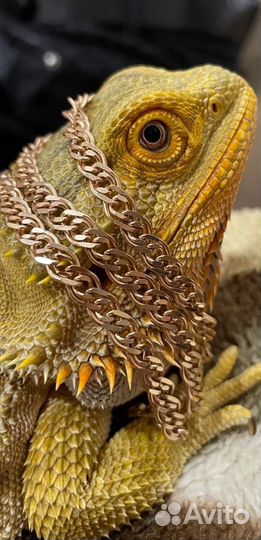 Выкуп техники Apple/Android деньги сразу