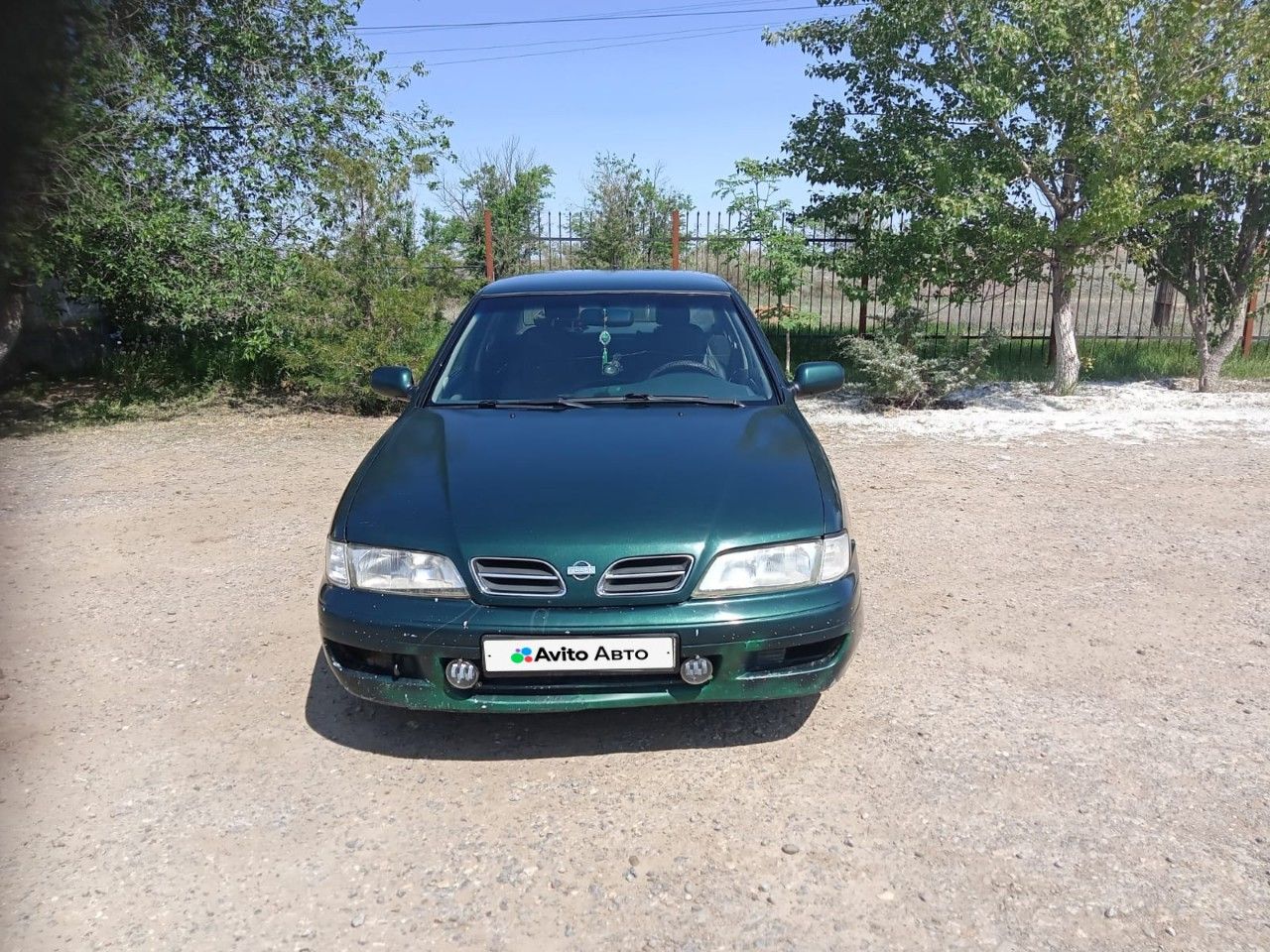 Nissan Primera: фото владельца