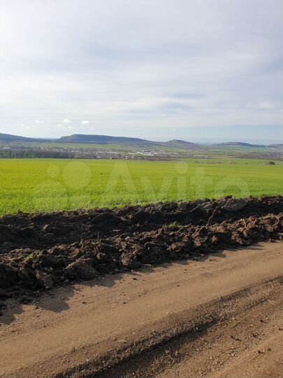 Участок 3,77 га (СНТ, ДНП)