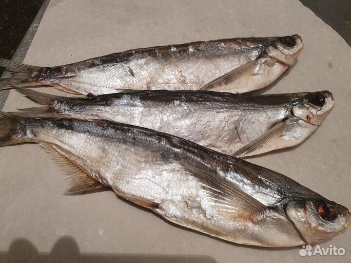 Рыба от производителя. Сельдь сс, копчение