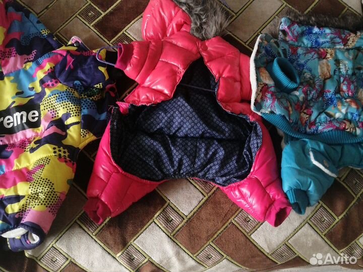 Одежда для не больших собачек