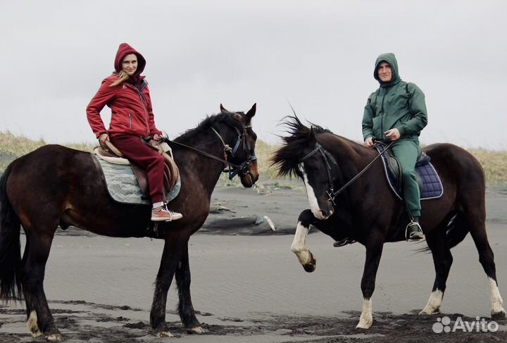 Прогулки на лошадях