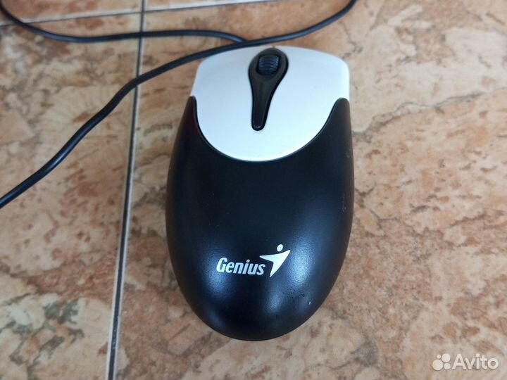 Мышь компьютерная