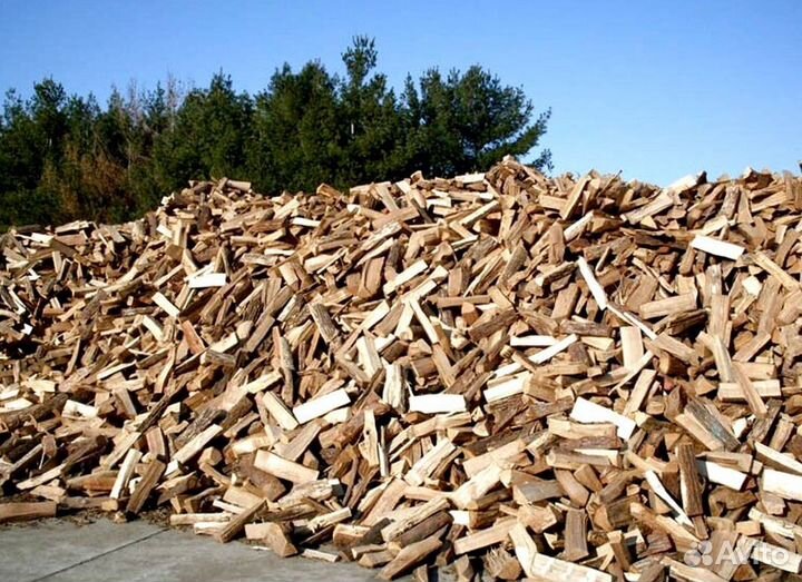 Дрова превосходного качества