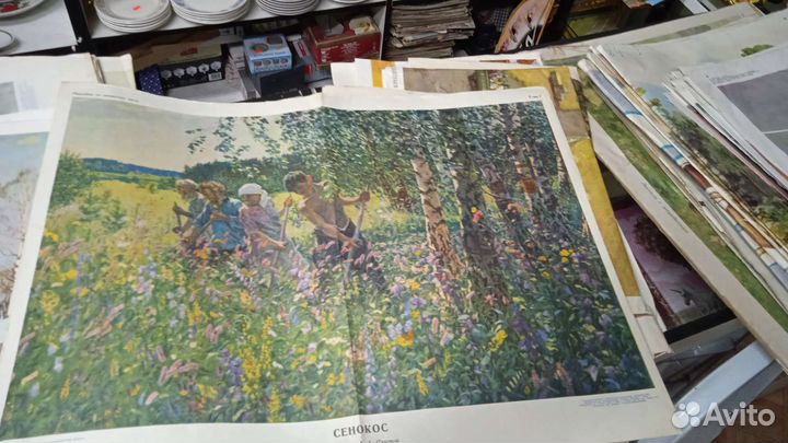 Плакаты по развитию речи, природоведение