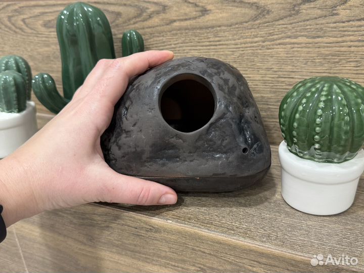 Влажная камера для эублефара керамическая