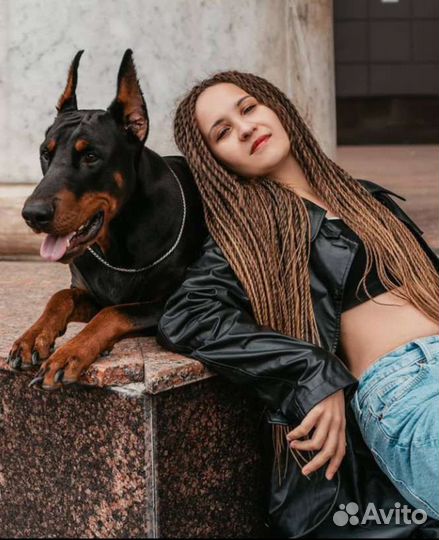 Афрокосы,брейды,синегалы,каркас,афро затылок,зи-зи