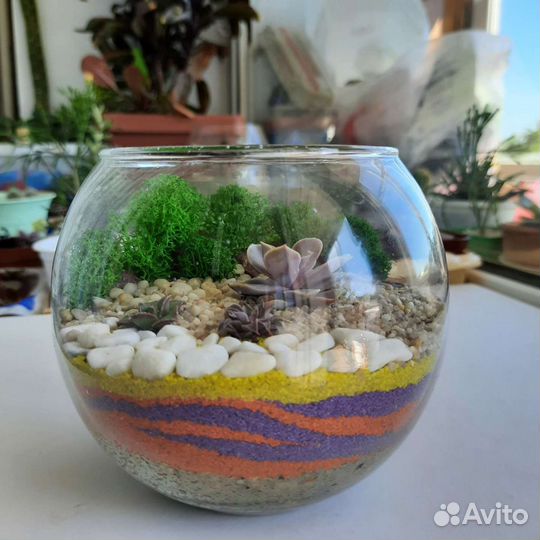 Флорариум с суккулентами и мхом на заказ