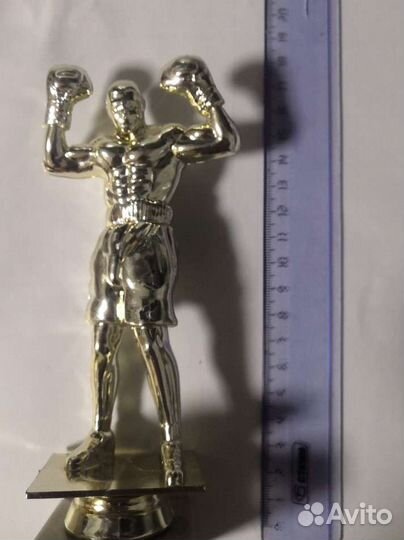 Кубок по боксу