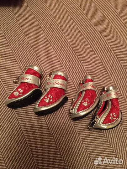 Обувь и одежда для собаки мелкой породы