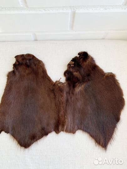 Норковые шкурки