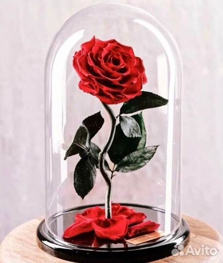 Роза в колбе. От производителя
