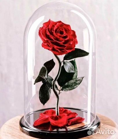 Роза в колбе. От производителя