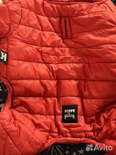 Зимний комбинезон для маленькой собаки