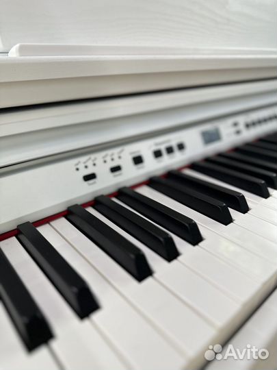 Orla CDP 101 DLS Цифровое пианино