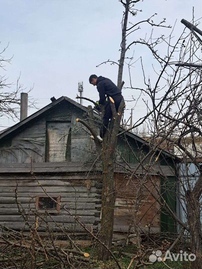 Услуги разнорабочих