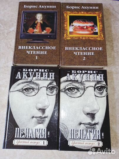 Книги. Литвиновы, Полякова, Устинова, Акунин