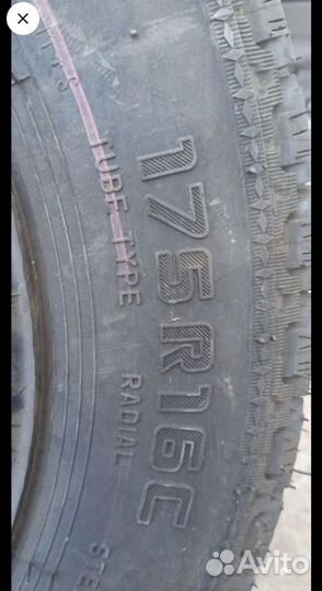 Forward Professional 462 5.40/10 R16 30G