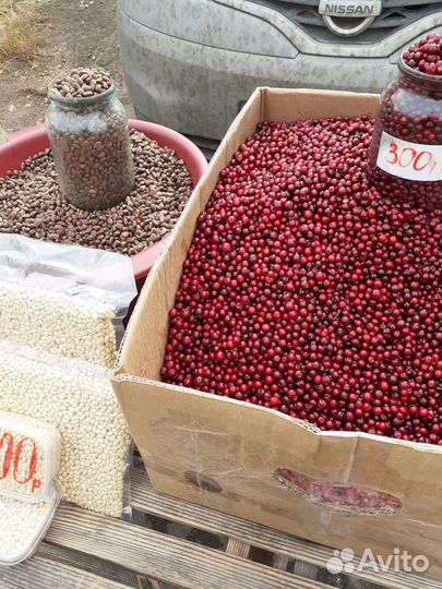 Смородина, Клюква, Черника,белый гриб,жимолость