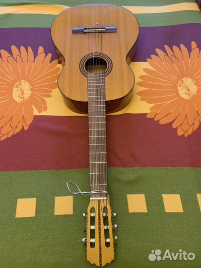 Акустическая гитара Musima Classic