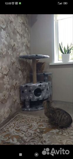 Домик для кошки