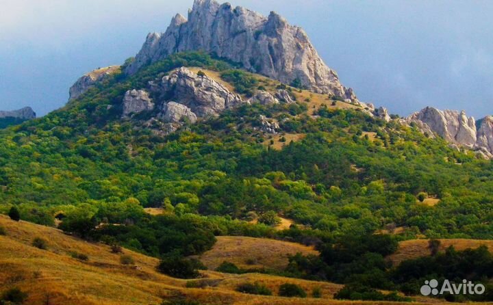 Тур поездка Крым на 7 н. отель 5*