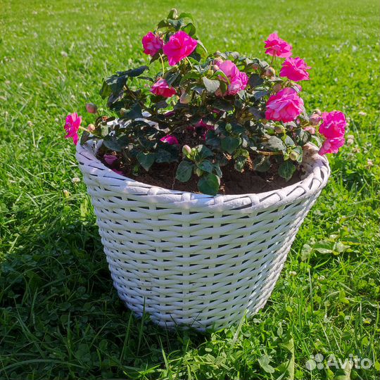Кашпо из ротанга 12 литров