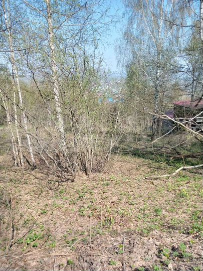 Участок 9 сот. (СНТ, ДНП)