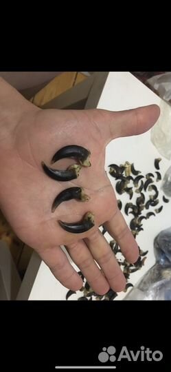 Когти волка имитация