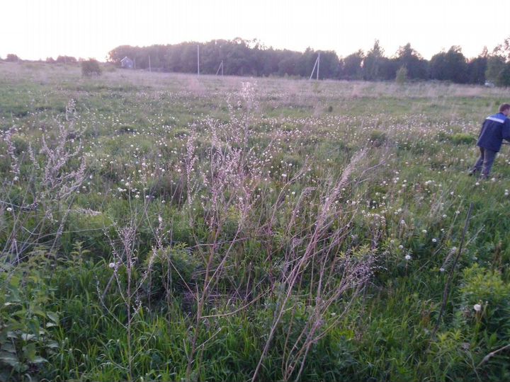 Участок 12 сот. (СНТ, ДНП)