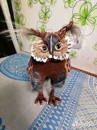 Сова, филин