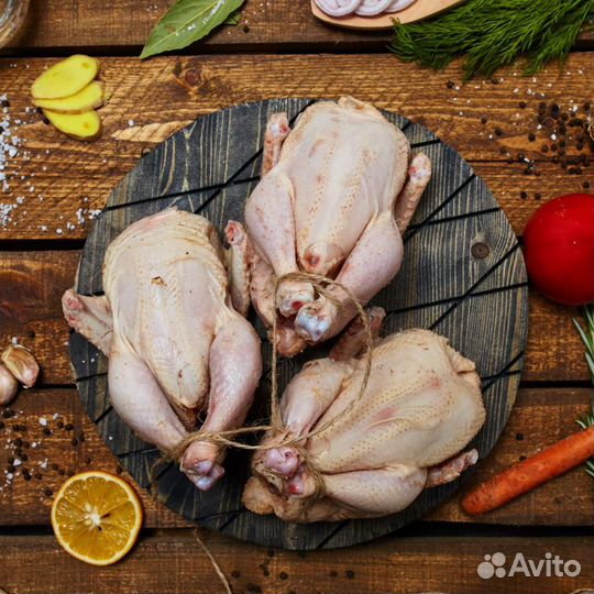 Мясо домашней курицы бройлера