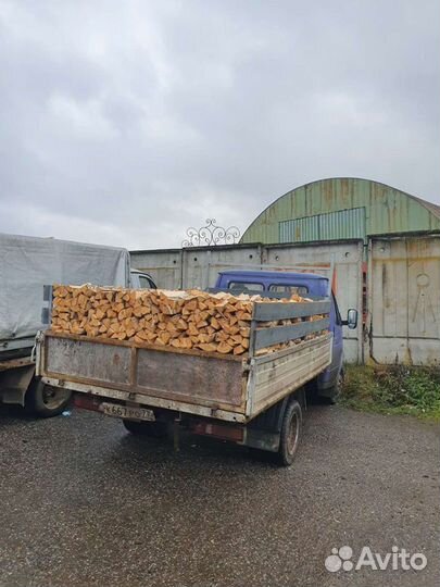 Дрова берёза,дуб, ольха, осина