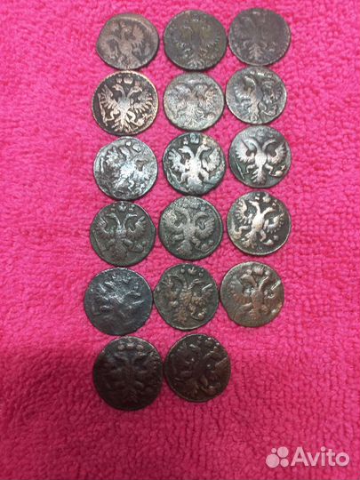 Полушка 1731, 1734, 1735, 1736г