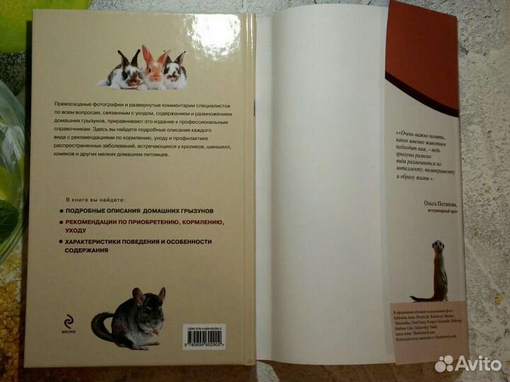 Онищенко, Шестопалов: Кролики, хомяки, шиншиллы и