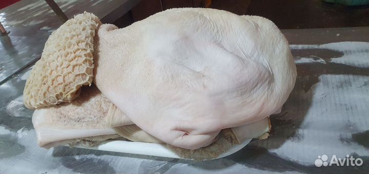 Ножки говяжьи и требуха