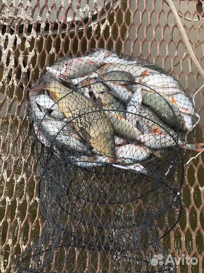 Отдых на берегу. Беседки. Рыбалка. Аренда лодок