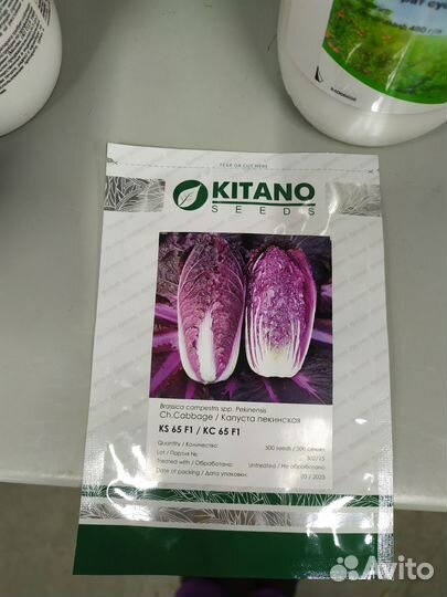 Семена капуста пекинская
