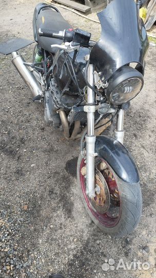 Suzuki GSX