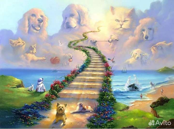 Ритуальные услуги для животных Кремация 24/7