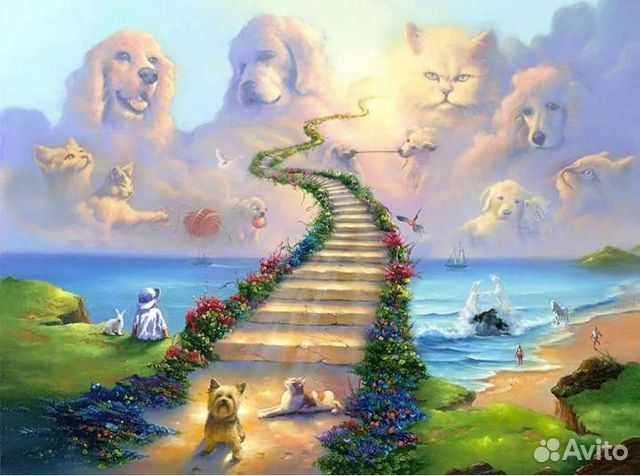 Ритуальные услуги для животных Кремация 24/7