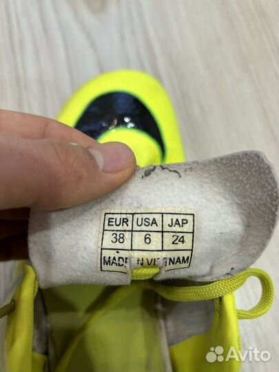 Сороконожки