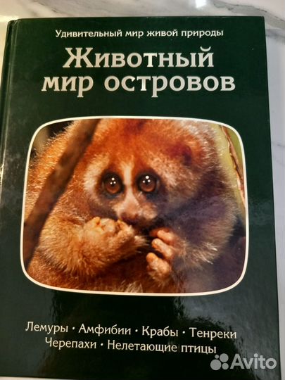 Животный мир островов. М. Стейнманн