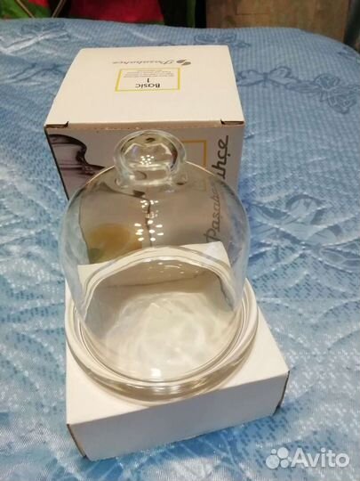 Лимонница стеклянная